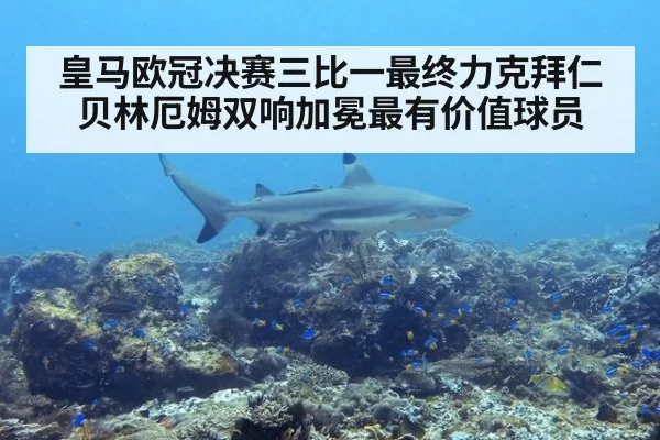 皇马欧冠决赛三比一最终力克拜仁贝林厄姆双响加冕最有价值球员