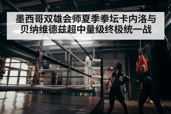boxer training