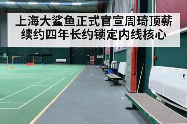 上海大鲨鱼正式官宣周琦顶薪续约四年长约锁定内线核心